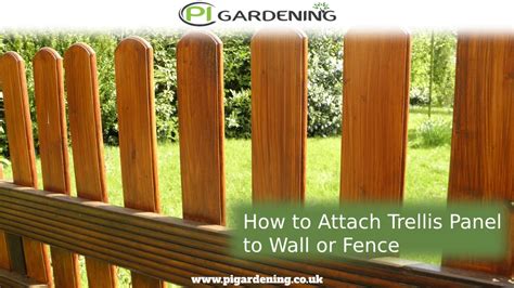 How To Attach Trellis To A Wall Or Fence .